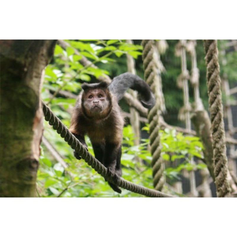 Zoo Keeper for a Day Choice Voucher The Personalised Gift Shop