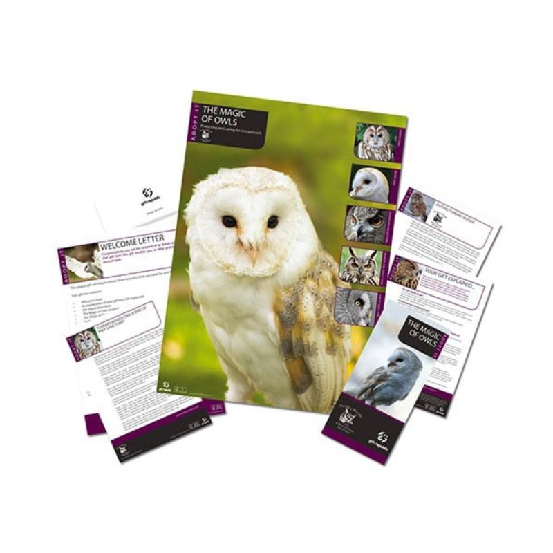 Adopt an Owl product image