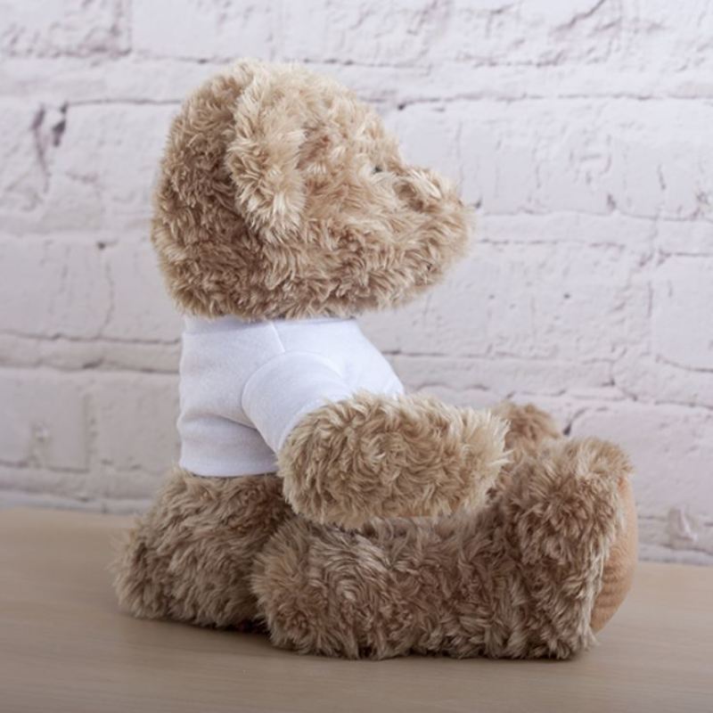 Personalised Best Brother Teddy Bear product image