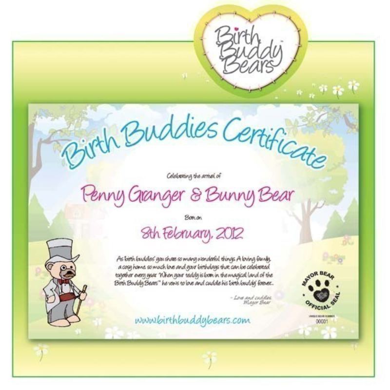 Birth Buddy Teddy Bears product image