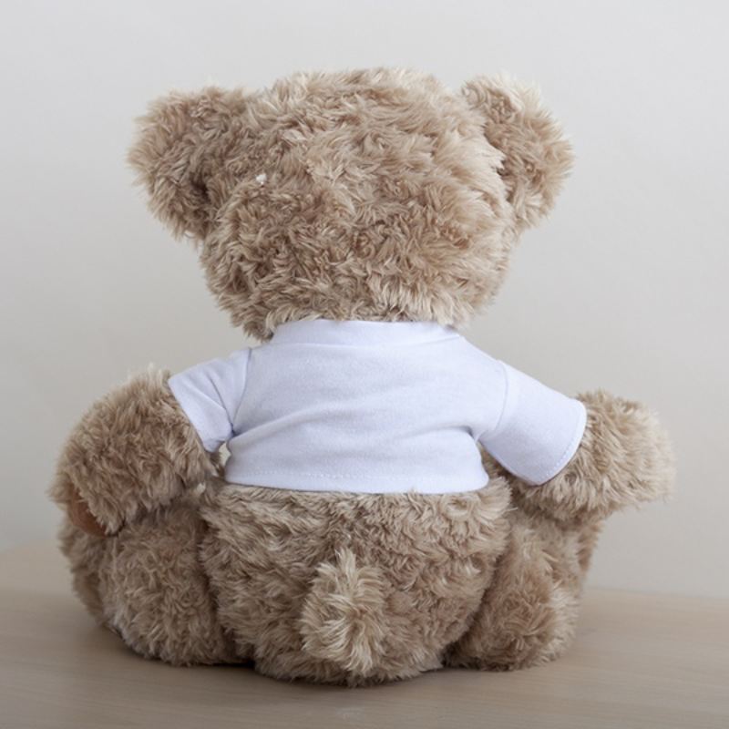 Cuddly Teddy Personalised Message Bear product image