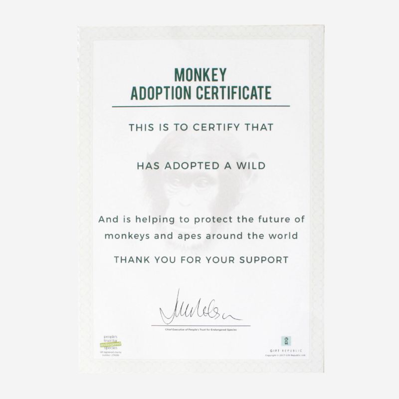 Adopt a Monkey product image