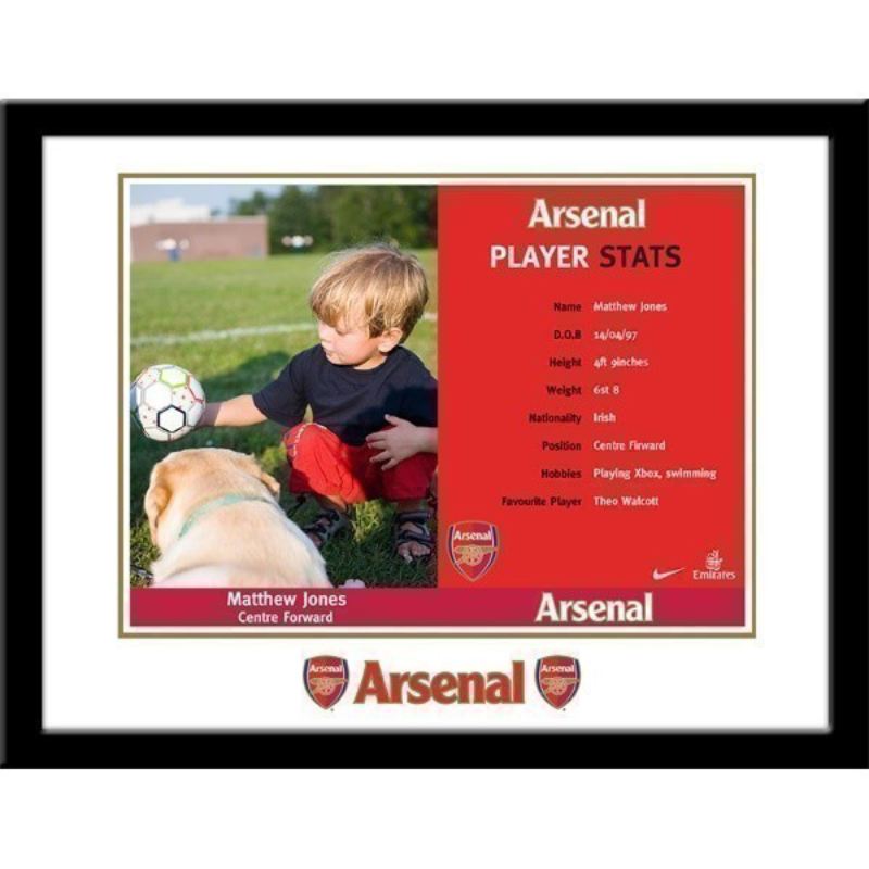 Personalised Arsenal Stats Card product image