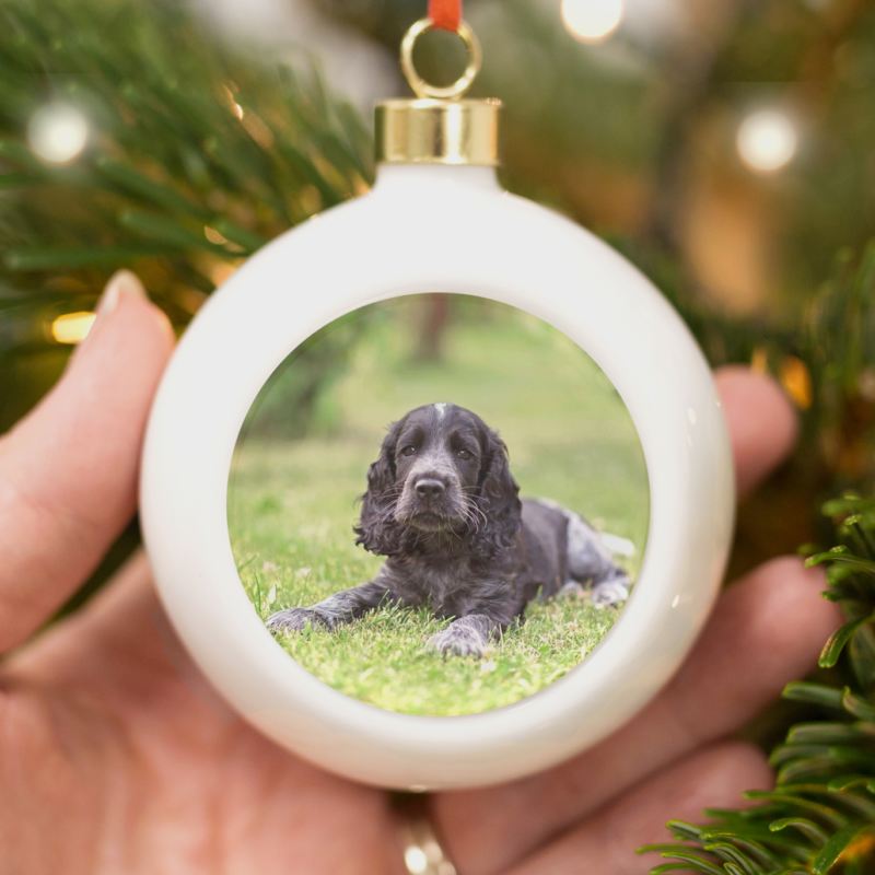 Personalised Merry Christmas Pet Photo bauble product image