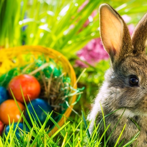 Easter Traditions and History we bet you don't know!